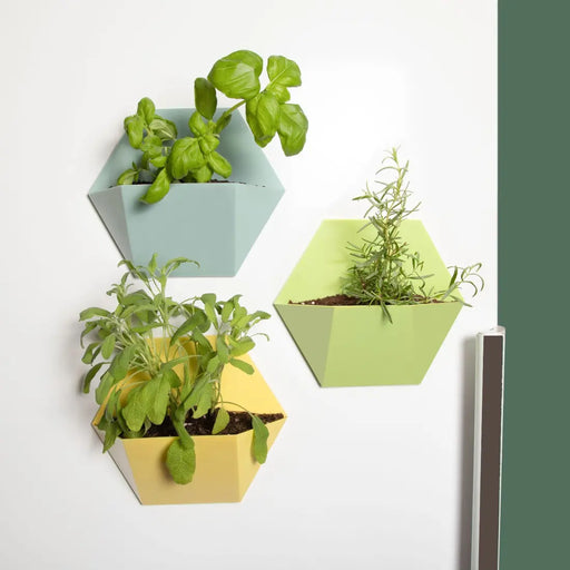 Magnetic Flower Pots in 3-Piece Set