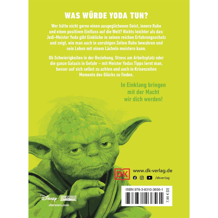 23033_star-wars-descubre-al-yoda-que-hay-en-ti-main2.jpg