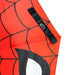 Spider-Man zakparaplu