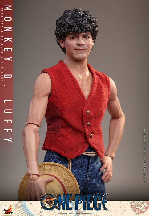 One Piece Monkey D. Luffy Action Figure (Netflix Series)