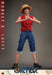 One Piece Monkey D. Luffy Action Figure (Netflix Series)