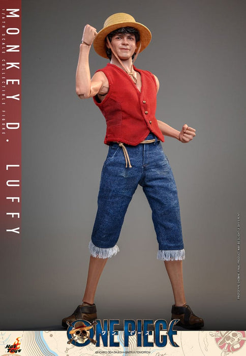 One Piece Monkey D. Luffy Action Figure (Netflix Series)