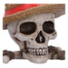 Scatola portaoggetti One Piece Jolly Roger di Luffy